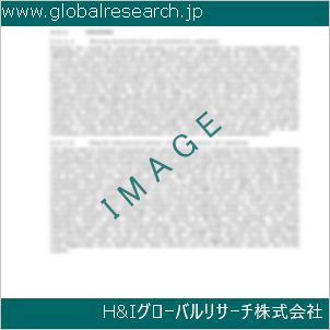 グローバルリサーチ調査資料のイメージ